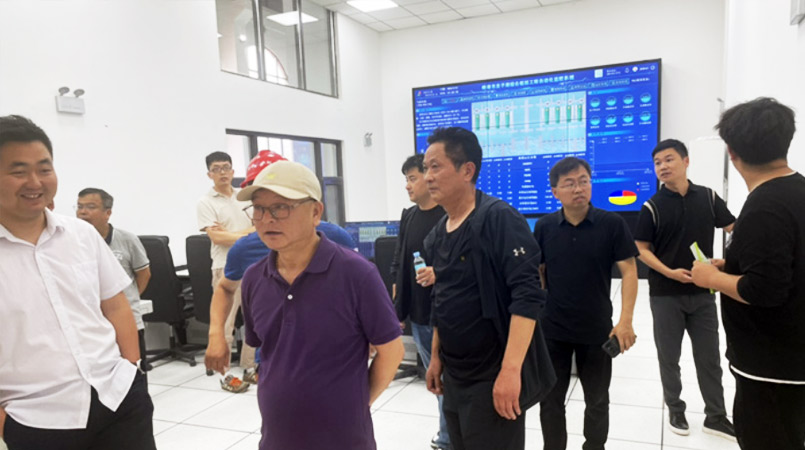 淮干蚌浮段（蚌埠境内）配套项目龙子河口综合枢纽布置工程自动化监控系统采购项目完工验收