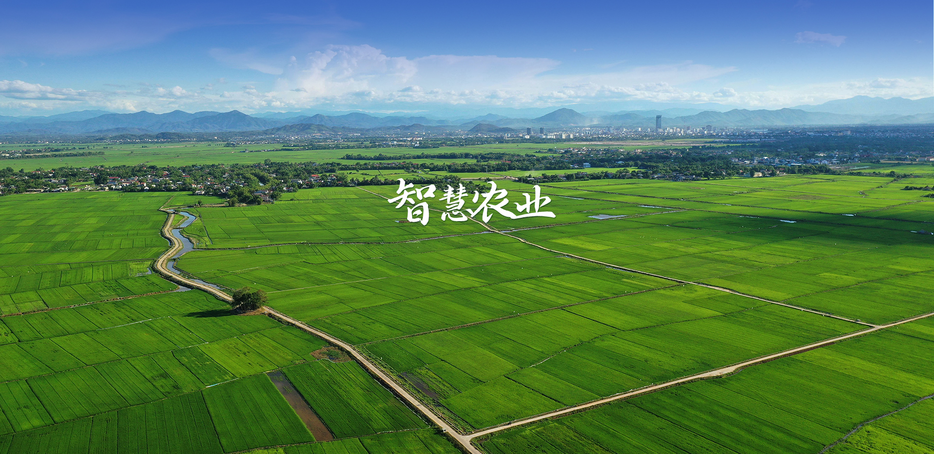 农业