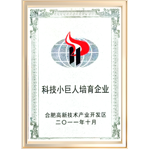 合肥高新区科技小巨人培育企业